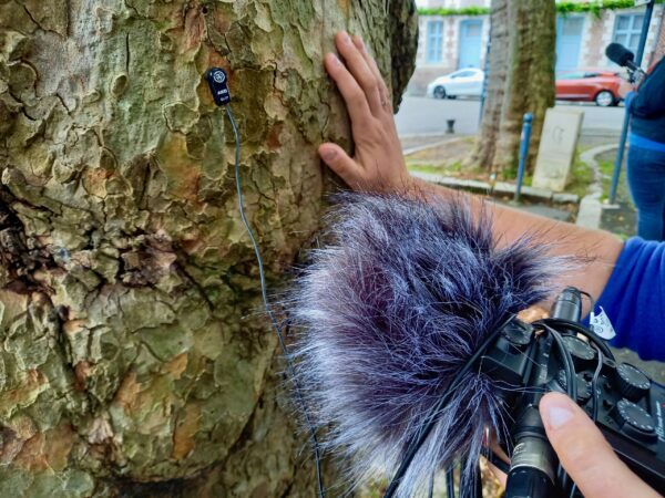 Préparez votre live avec des capteurs et micros sensibles